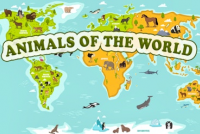 Animals of the World img