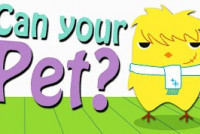 Can Your Pet? img