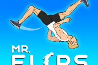 Mr Flip img