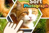 Sort Photograph img