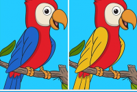 Spot The Difference 4 img