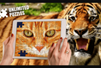 Unlimited Puzzles img